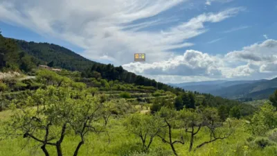 Rustic finca in the Valencian Community photo 5