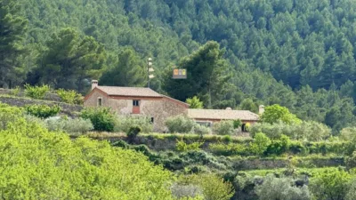 Rustic finca in the Valencian Community photo 6