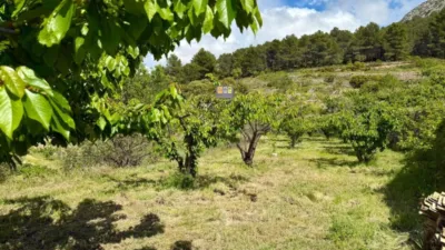 Rustic finca in the Valencian Community photo 9