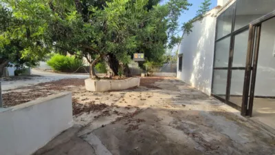  photo 48