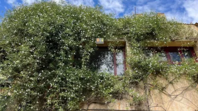 Casa en Comunidad Valenciana photo 31