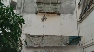 Terraced house on Guillén de Castro Street photo 17