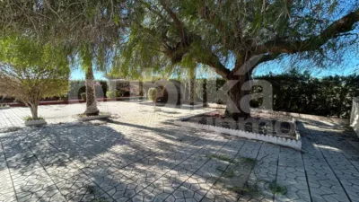 House on Avenida del Altet, 1196 photo 44