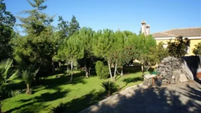 Chalet in Playa Monte photo 2