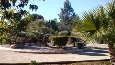 Chalet in Playa Monte photo 3