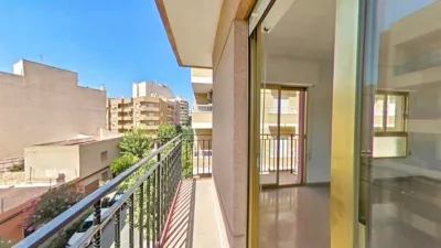 Apartment in Crevillent photo 32