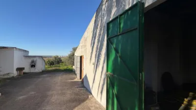 Rustic Finca in Arcos de La Frontera photo 16