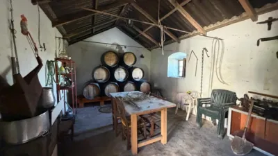 Rustic Finca in Arcos de La Frontera photo 22