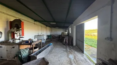 Rustic Finca in Arcos de La Frontera photo 23