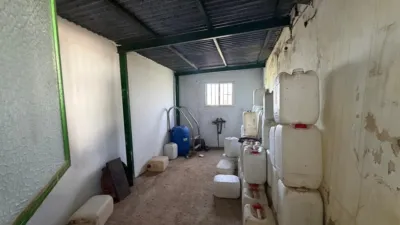 Rustic Finca in Arcos de La Frontera photo 24