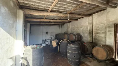 Rustic Finca in Arcos de La Frontera photo 28