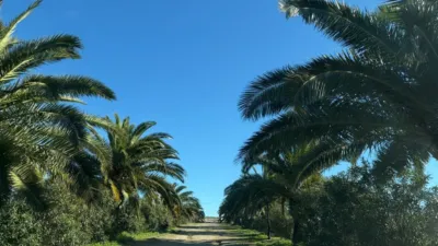 Rustic Finca in Arcos de La Frontera photo 29