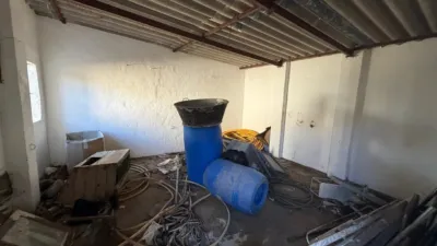 Rustic Finca in Arcos de La Frontera photo 34
