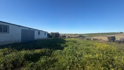 Rustic Finca in Arcos de La Frontera photo 38