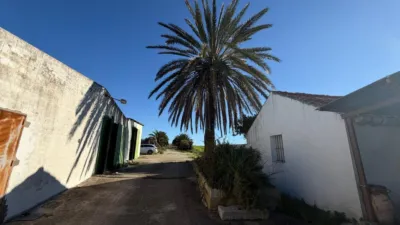 Rustic Finca in Arcos de La Frontera photo 3