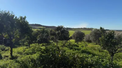 Rustic Finca in Arcos de La Frontera photo 41