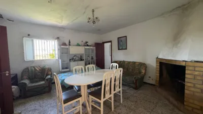 Rustic Finca in Arcos de La Frontera photo 42