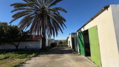 Rustic Finca in Arcos de La Frontera photo 43