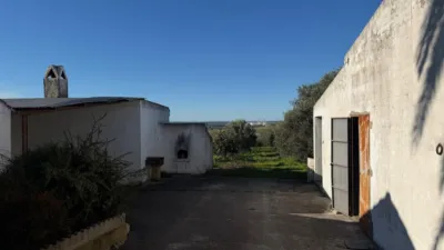 Rustic Finca in Arcos de La Frontera photo 48