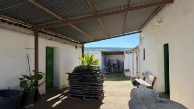 Rustic Finca in Arcos de La Frontera photo 5