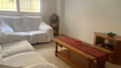 Apartment in Centro Urbano 2 photo 28