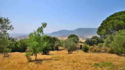 Rustic finca in Arroyo-Molino photo 10