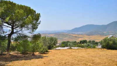 Rustic finca in Arroyo-Molino photo 11