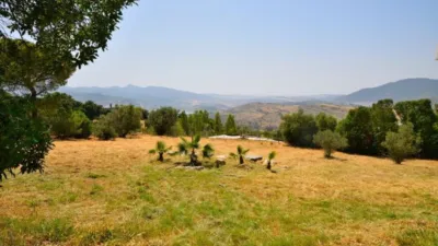 Rustic finca in Arroyo-Molino photo 6