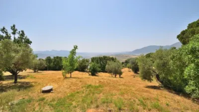 Rustic finca in Arroyo-Molino photo 8