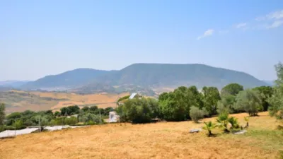 Rustic finca in Arroyo-Molino photo 9