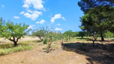 Rustic farm in La Pedraja de Portillo photo 21