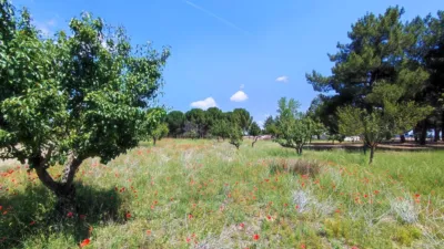 Rustic farm in La Pedraja de Portillo photo 22