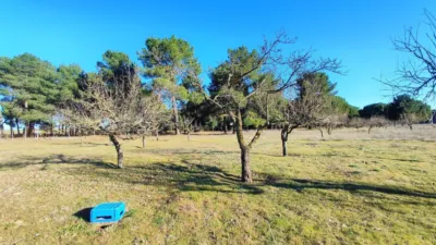 Rustic farm in La Pedraja de Portillo photo 24