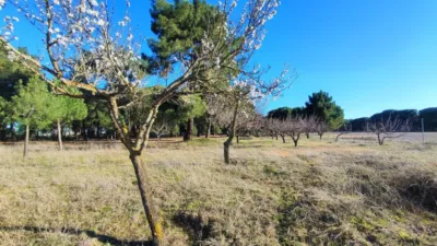 Rustic farm in La Pedraja de Portillo photo 25