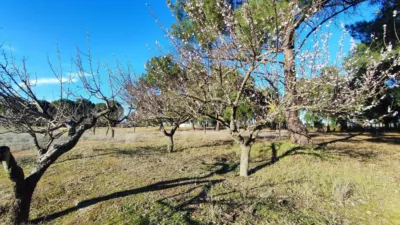 Rustic farm in La Pedraja de Portillo photo 26