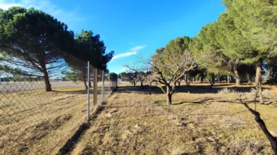 Rustic farm in La Pedraja de Portillo photo 27