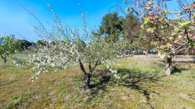 Rustic farm in La Pedraja de Portillo photo 33