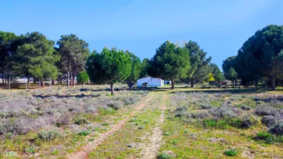 Rustic farm in La Pedraja de Portillo photo 34