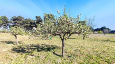 Rustic farm in La Pedraja de Portillo photo 38