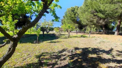 Rustic farm in La Pedraja de Portillo photo 40