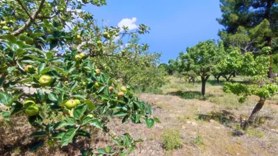 Rustic farm in La Pedraja de Portillo photo 5