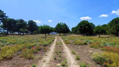 Rustic farm in La Pedraja de Portillo photo 7