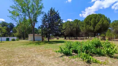 Rustic farm in La Pedraja de Portillo photo 9