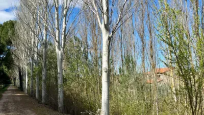 Chalet on Calle Los Canales photo 5