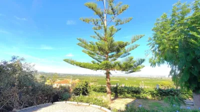 Chalet in Calicanto photo 14