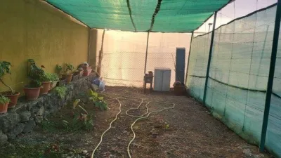 Finca rústica en calle del Médico Estévez photo 32