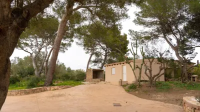 Chalet in Es Pil.Larí photo 20
