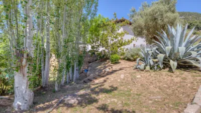 Chalet in Esporles Pueblo photo 39
