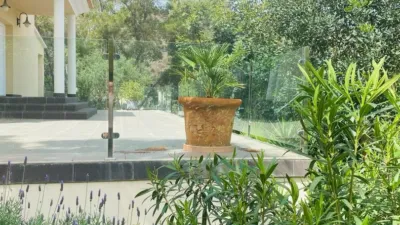 Chalet in Sol de Mallorca photo 22