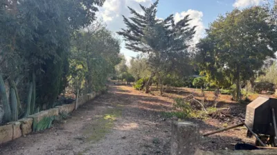 Chalet en Carrer d'Algaida photo 16